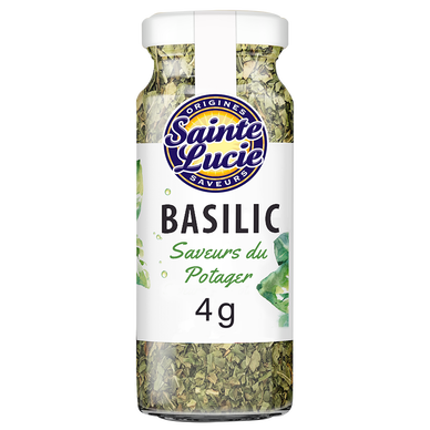 Basilic SAINTE LUCIE