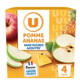 Dessert fruitier coupelle pomme ananas sans sucre ajouté U 4x100g