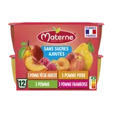 Dessert fruitier Coupelles Sans Sucres Ajoutés Multivariétés Fruits Jaunes MATERNE, 12x100g
