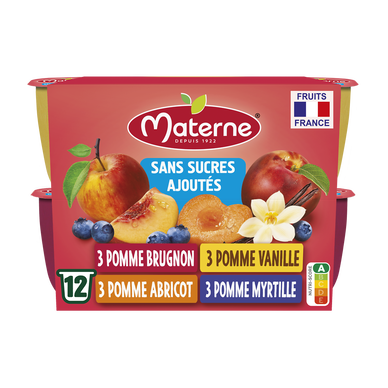 Dessert fruitier sans sucre ajouté multi fruits MATERNE 12x100g