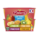 Dessert fruitier Coupelles Sans Sucres Ajoutés Multivariétés Fruits Exotiques MATERNE, 12x100g