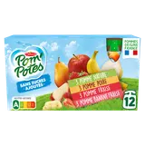 Dessert fruitier Gourdes Sans Sucres Ajoutés Pomme, Pomme Poire, PommeFraise,Pomme Banane POM'POTES, 12x90g