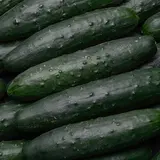 Concombre Noa - La pièce