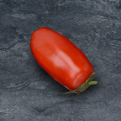 Tomate allongée Torino SAVEOL