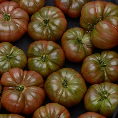 Tomate côtelée noire