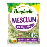 Mesclun Bonduelle - Sachet 145g