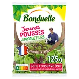 Salade de nos producteurs Bonduelle - Sachet 125g