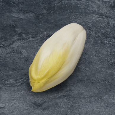 Endives du Nord