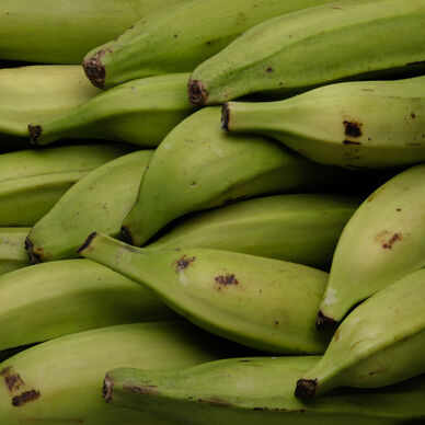 Banane Plantain