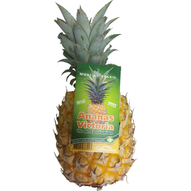 Ananas Victoria - La pièce