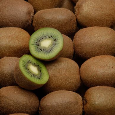 Kiwi Hayward - Lande - La pièce