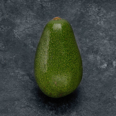 Avocat Tropical