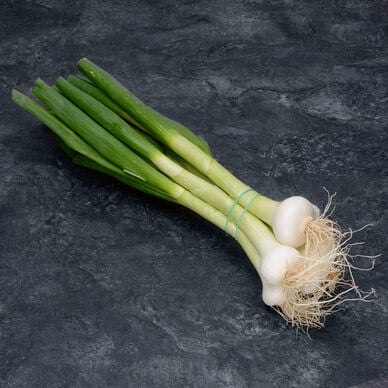 Oignon blanc - La botte