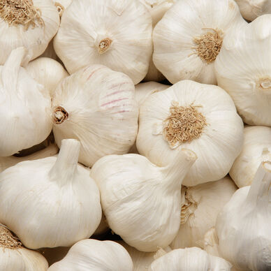 Ail blanc