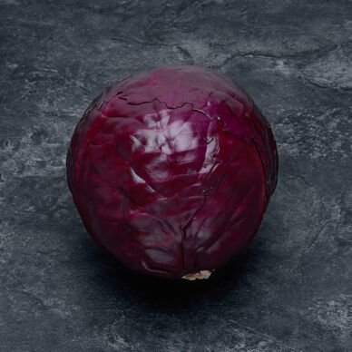 Chou rouge - La pièce
