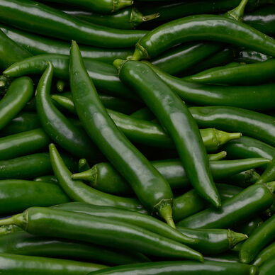 Piment vert, France