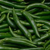 Piment vert, France