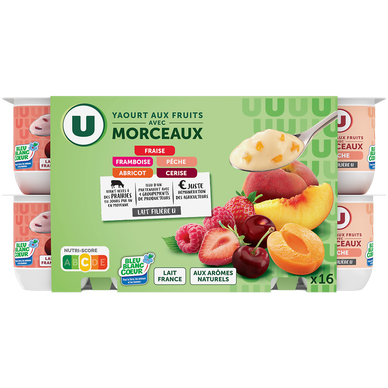 Yaourt aux morceaux de fruits panachés  16x125g