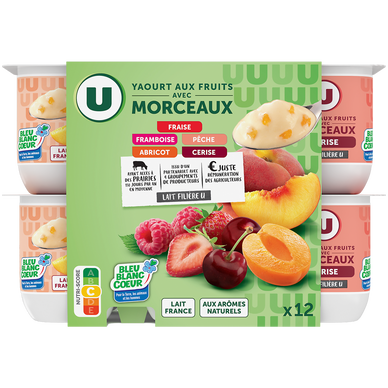 Yaourt aux morceaux de fruits panachés  12x125g