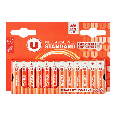 Pile standard LR03 x12