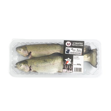 Truite portion,Oncorhynchus Mykiss, élevée en France, 2 pièces, brquette, 400g