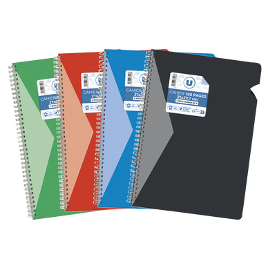 Cahier reliure 21x29,7cm 100 pages 5x5 assortis - U