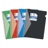 Cahier reliure 21x29,7cm 100 pages 5x5 assortis - U