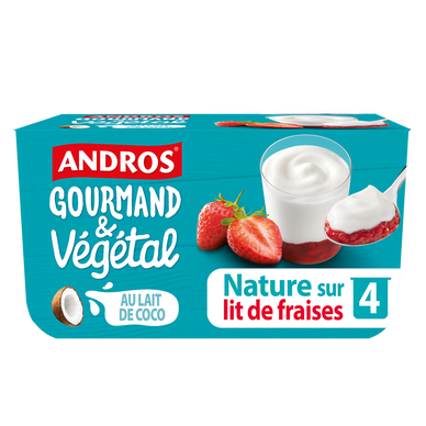Brassé végétale sur lit de fraise lt de coco ANDROS 4x100g