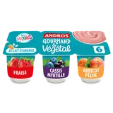 Brassé végétal fruit verger ANDROS GOURMAND&VEGETAL 6x100g