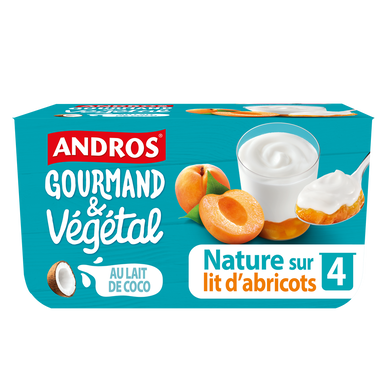 Brassé végétale sur lit d'abricot lt de coco ANDROS 4x100g