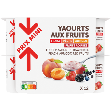 Yaourts aux fruits morceaux PRIX MINI 12x125g