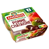 Dessert fruitier Pomme Chataîgne ANDROS - 4 pots de 100g