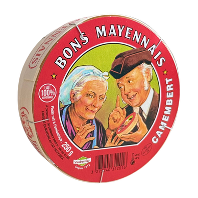 Camembert au lait pasteurisé BONS MAYENNAIS, 22%MG, 250g
