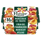 Yaourt aux fruits panaché 2,3% MG PANIER DE YOPLAIT - 16x125g