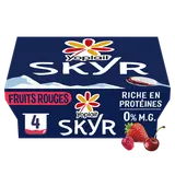 Skyr sur lit aux fruits rouges YOPLAIT SKYR - 4x100g