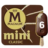 Mini Bâtonnets glacés classique MAGNUM X6 SOIT 249g