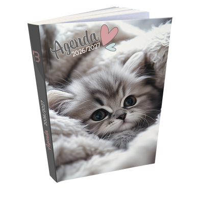 Agenda scolaire 12x17cm Chaton 1j/p 320p