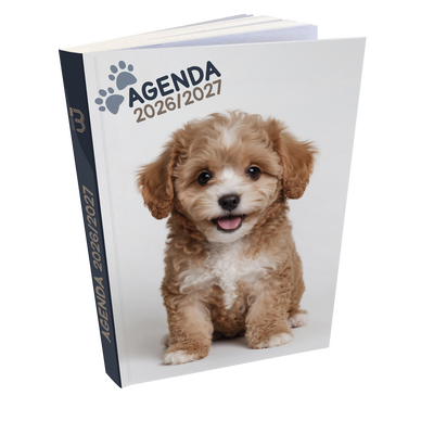 Agenda scolaire 12x17cm Chien 1j/p 320p