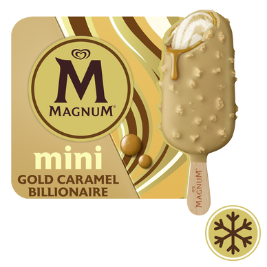 Mini Bâtonnets glacés double billionnaire MAGNUM x6 282g