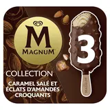 Magnum Glace Bâtonnet Caramel Salé & Amandes Caramélisées 3x90ml