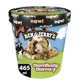 Crème glacée en pot façon Churros Cannelle BEN & JERRY'S 360g
