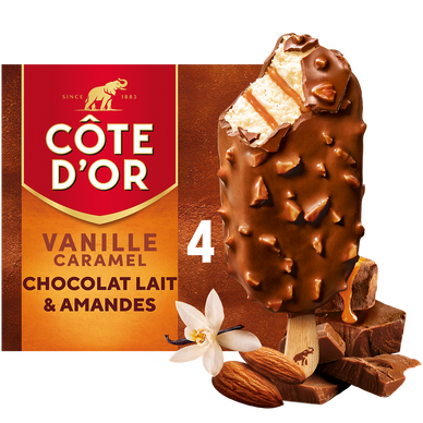 Bâtonnets glacés  Vanille sauce Caramel COTE D'OR - x4 276 g