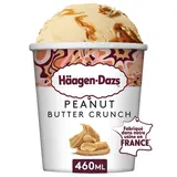 Crème glacée peanut butter HÄAGEN DAZS pot 400G