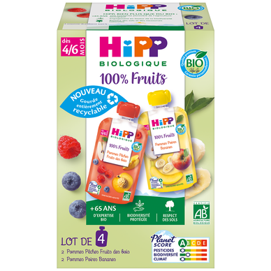 Gourdes 100% fruits 2 pommes pêches fruits des bois 2 pommes poiresbananes bio dés 4/6 mois HIPP 4x90g