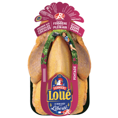 Pintade fermière, PAC, LR, LOUE, France, 1 pièce