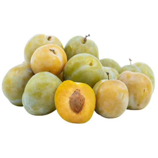 Prunes Reine Claude