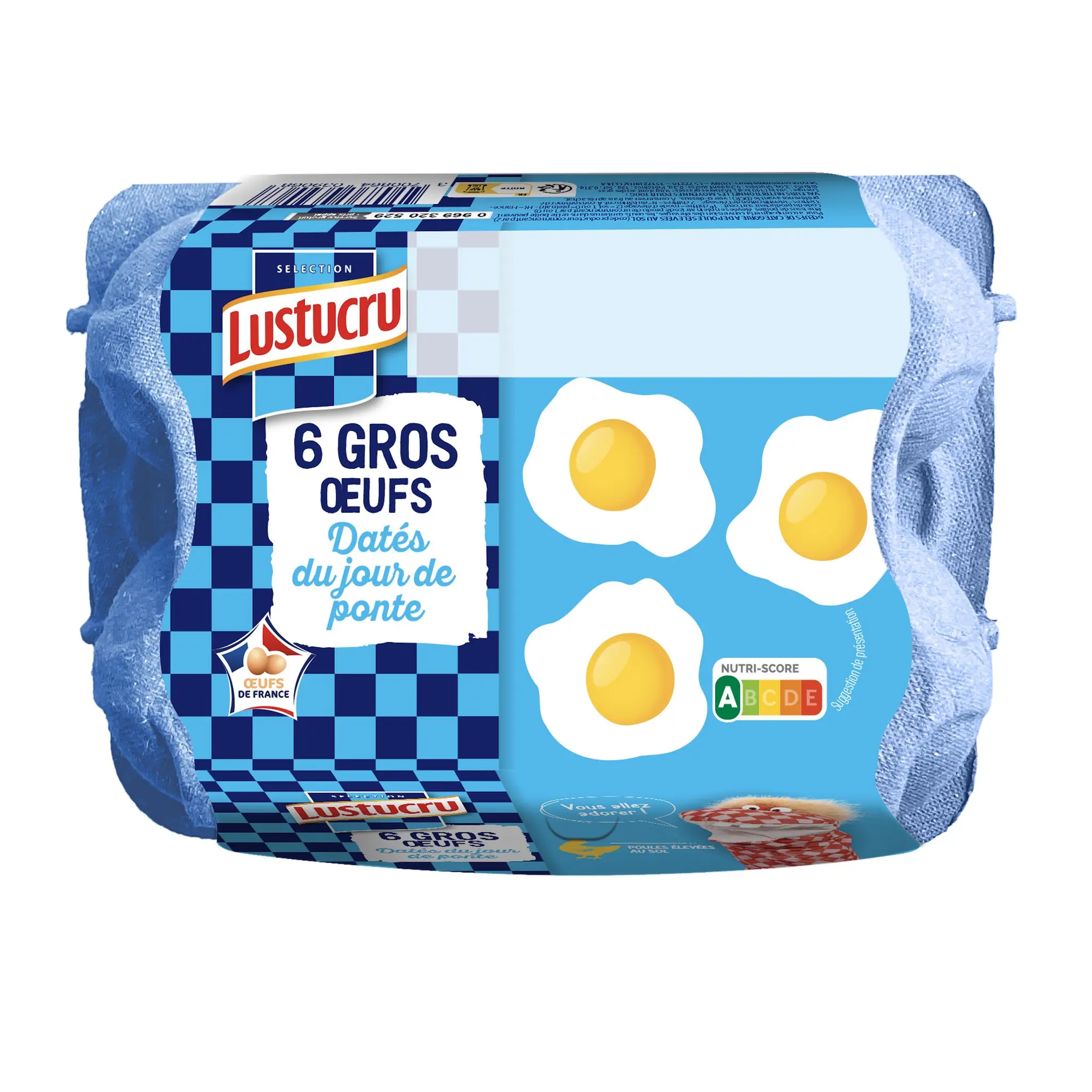 Oeufs de poules de gros calibre élevées au sol