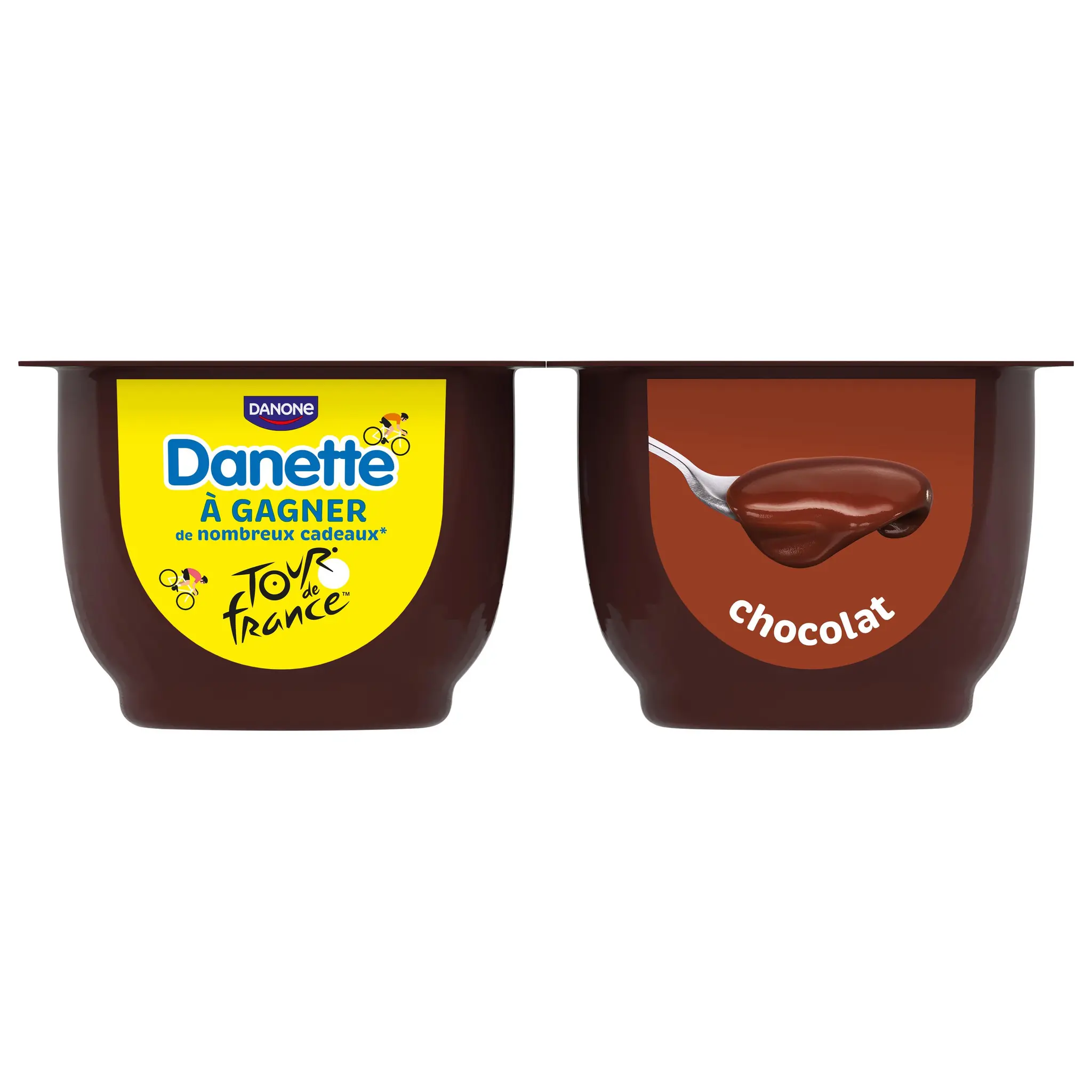 DANETTE Crème dessert chocolat