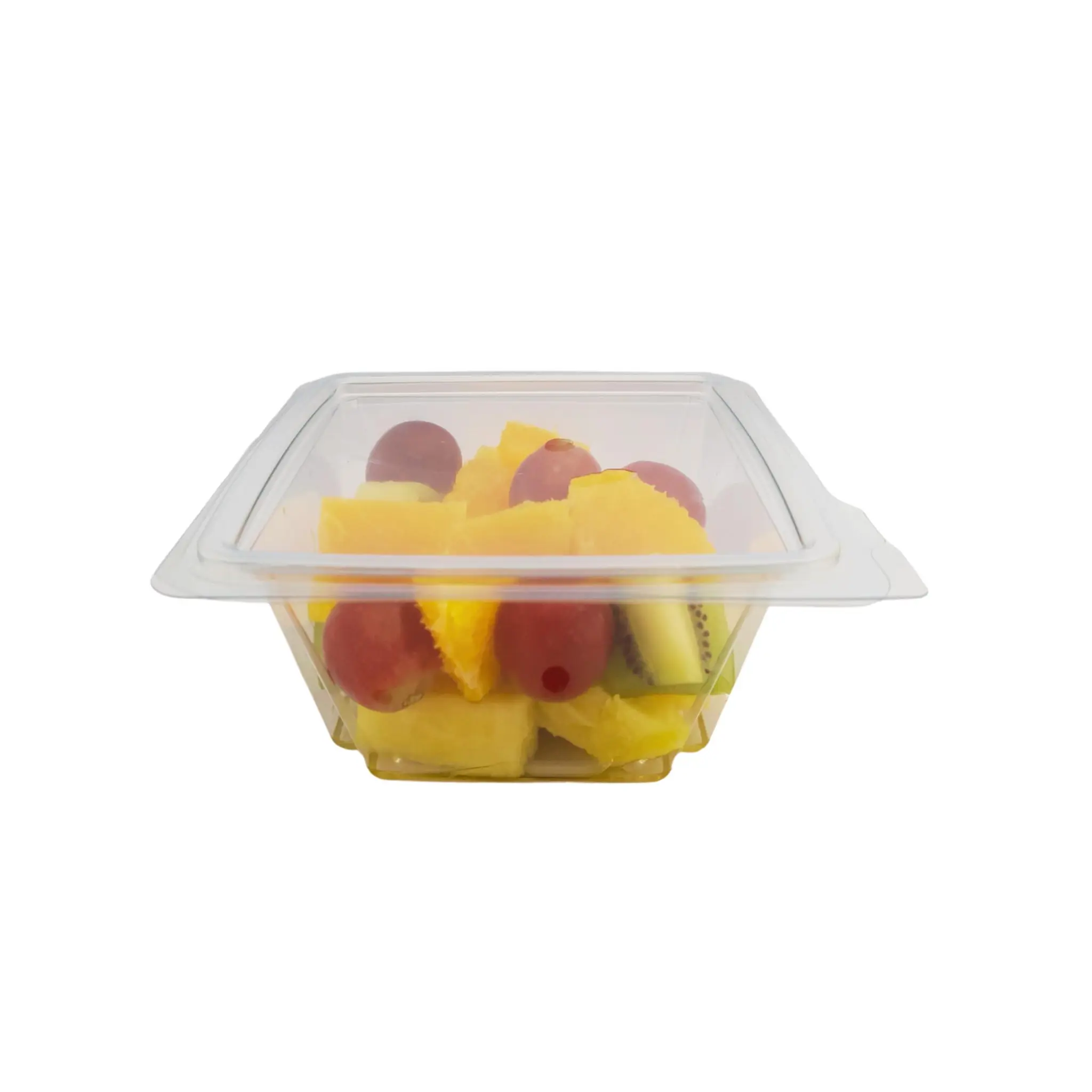 FRAICH ENVIE Salade de fruits