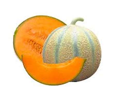 SUPER PRIX Lot de 2 melons charentais de Provence - direct producteur (petit calibre), France